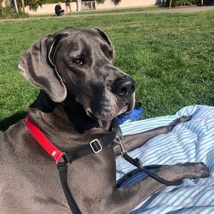 Meet your Posher, Liz